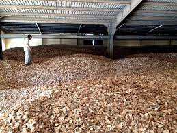 Cassava Market Bulletin (Reference) – April 06, 2026